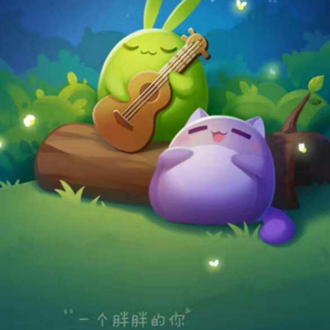 玛雅COCO
