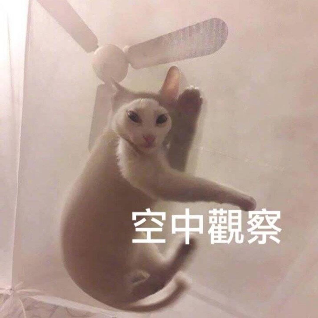 第一位一级厨神