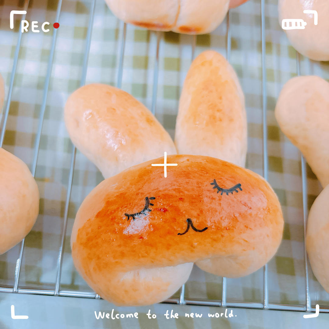 「烘焙」兔子面包的做法