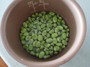 朴素的蚕豆饭的做法 步骤1