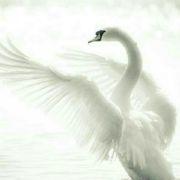 幸福的噜啦啦噜啦啦