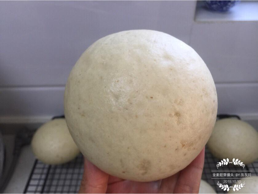 全麦胚芽碱面馒头