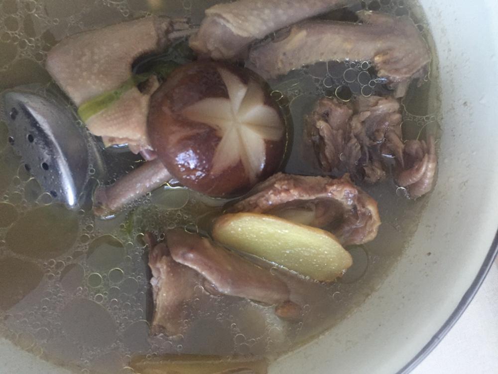养生鸽子汤