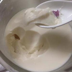 花胶牛奶冻（多口味推荐）的做法 步骤4