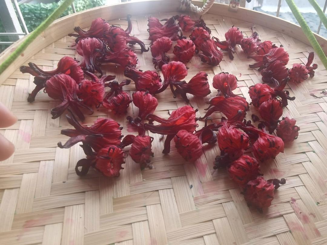 玫瑰茄果干花茶和蜜饯果脯