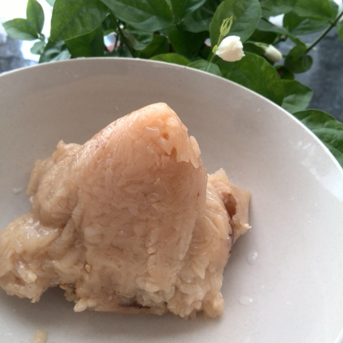 咸蛋黄鲜肉粽子