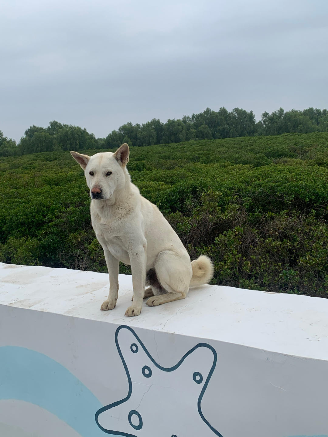 两碗米饭加颗糖