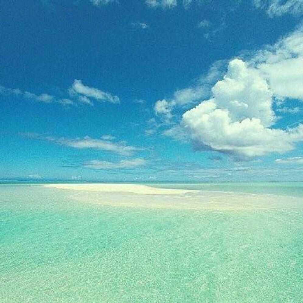 不要再耍我了好嗎