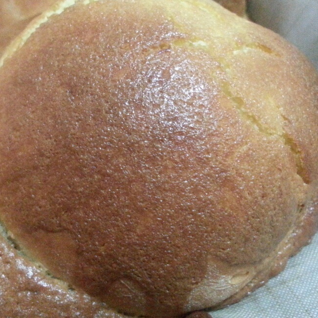 帕帕罗蒂墨西哥咖啡面包