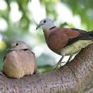 手机用户0222_uwxh