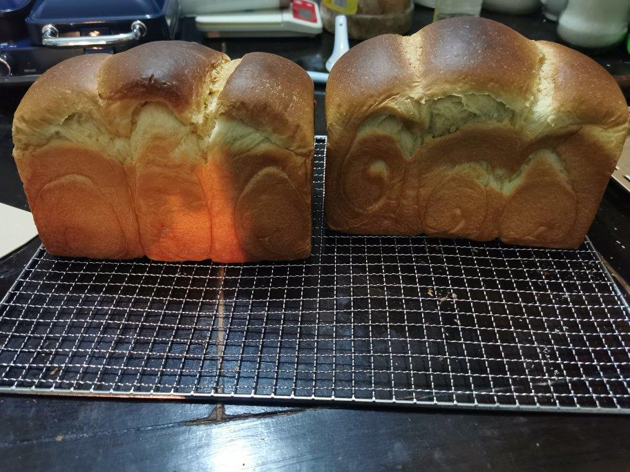 北海道吐司--100%中种