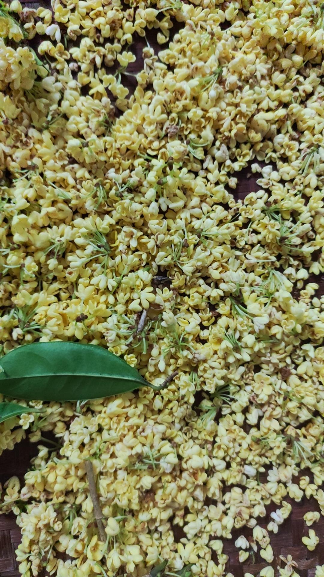 桂花酱（自制）