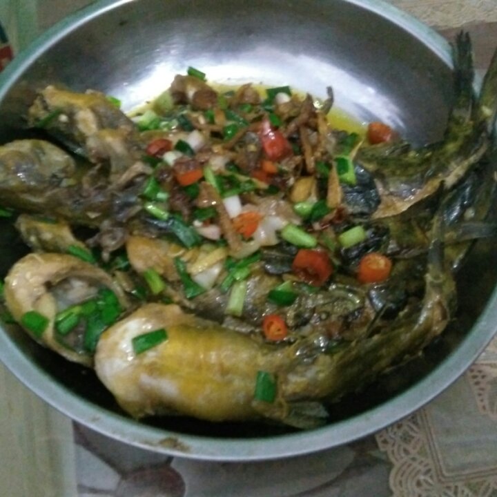 红烧黄骨鱼