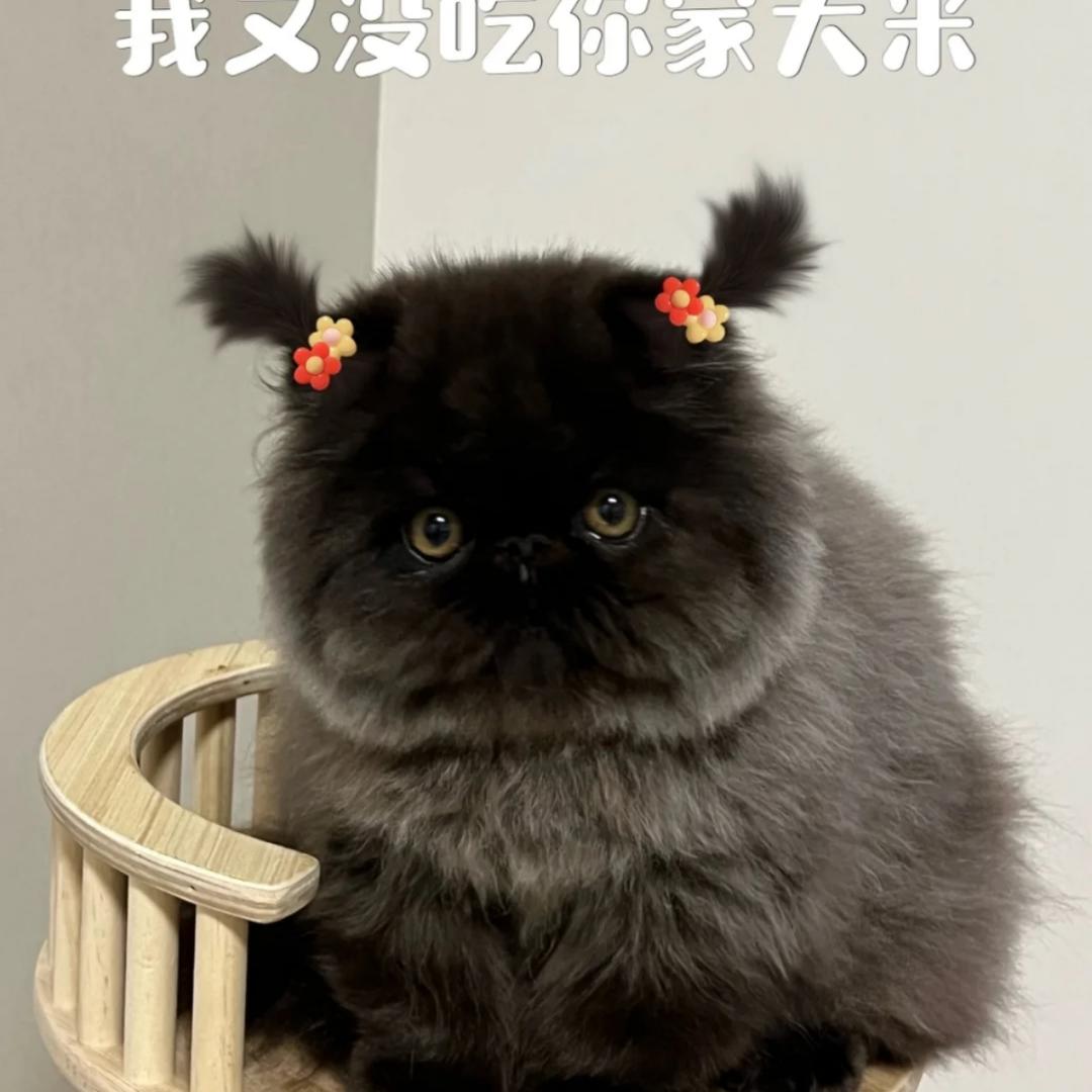 下厨房用户_zvwp