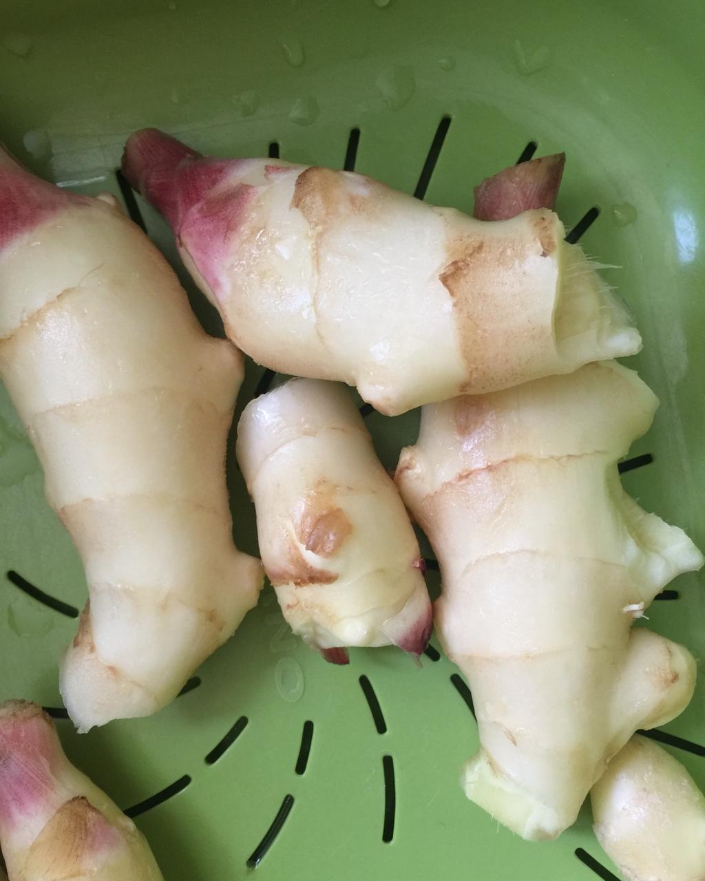 日本寿司店的泡姜