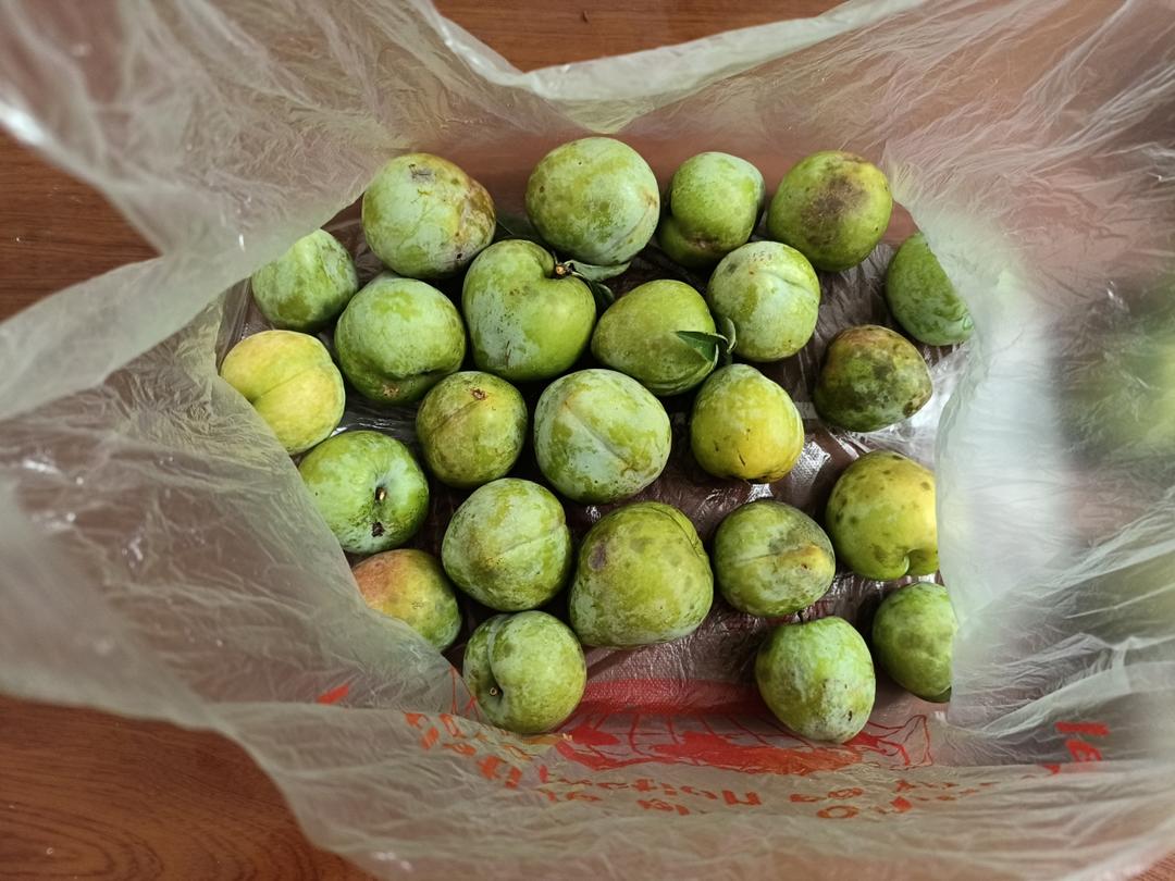 美味～泡李子