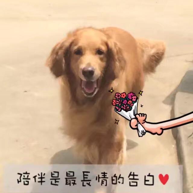 绵绵上上签