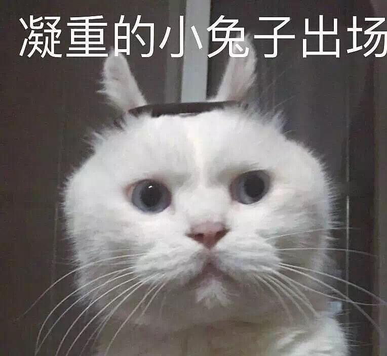 简易关东煮菌菇面的做法
