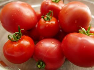 豫州地自制番茄酱的做法 步骤1