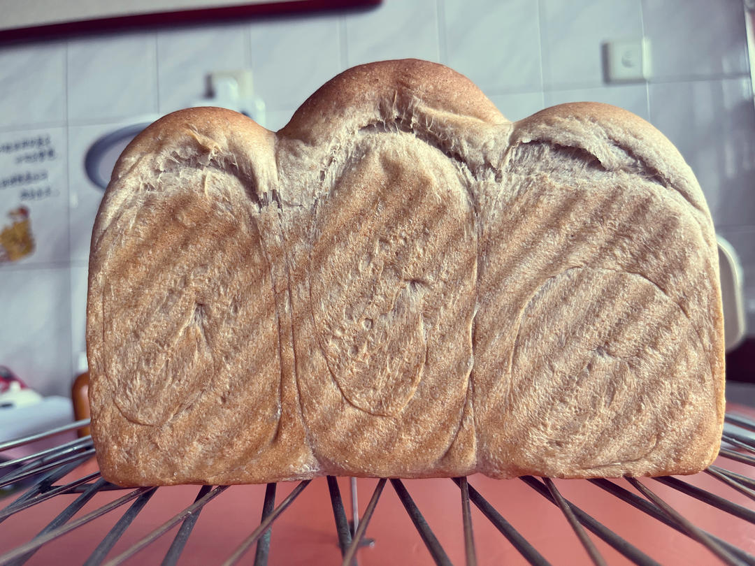 波兰种全麦吐司（40%全麦）