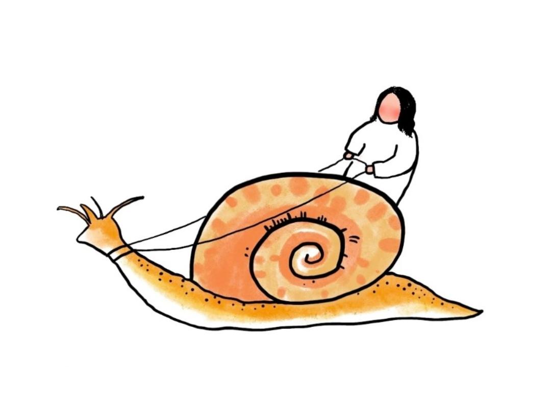 蜗牛妈妈8686
