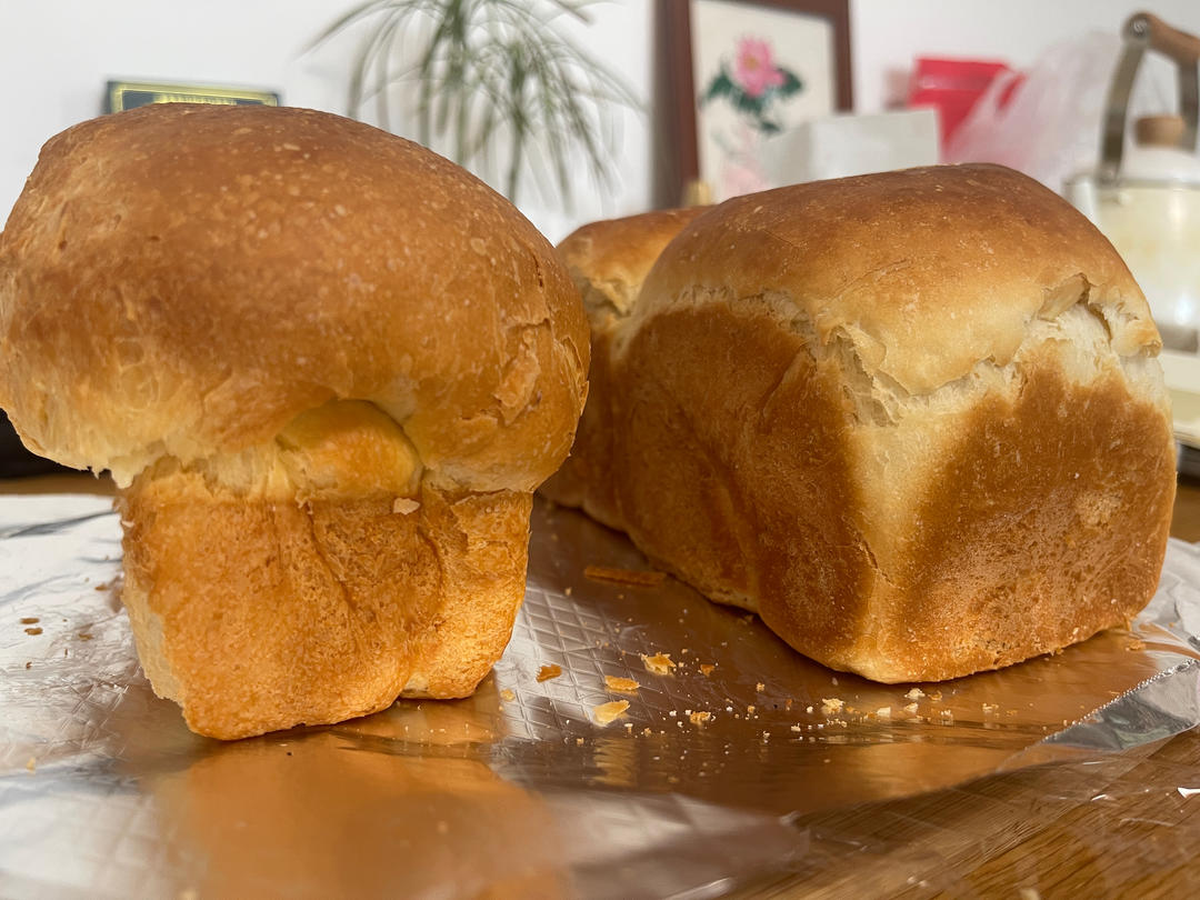 免揉迷你吐司（藤田千秋）