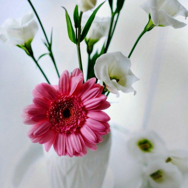 手机用户6368_he8u