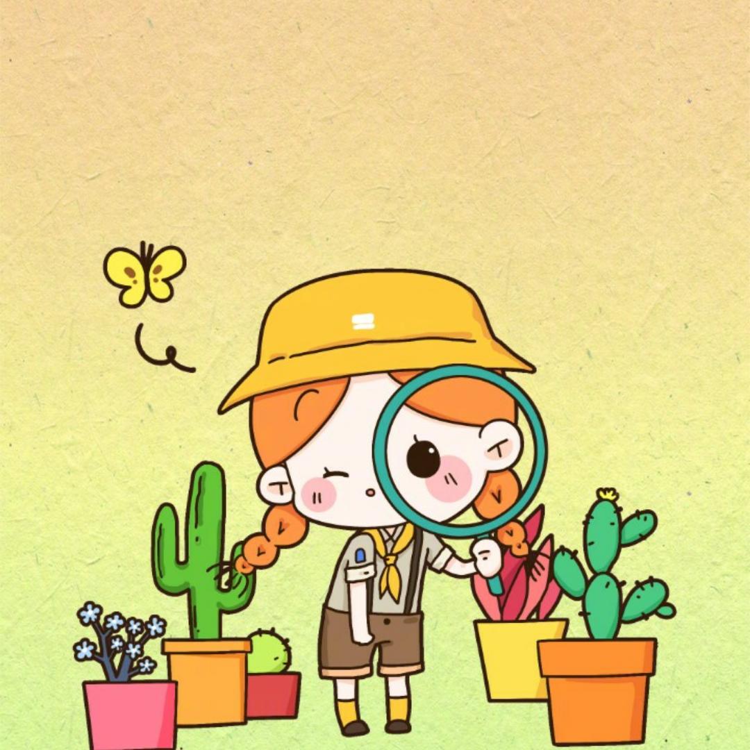 阿猫大人的美食日记