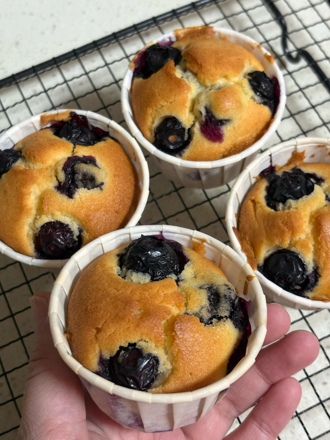 超好吃的蓝莓麦芬