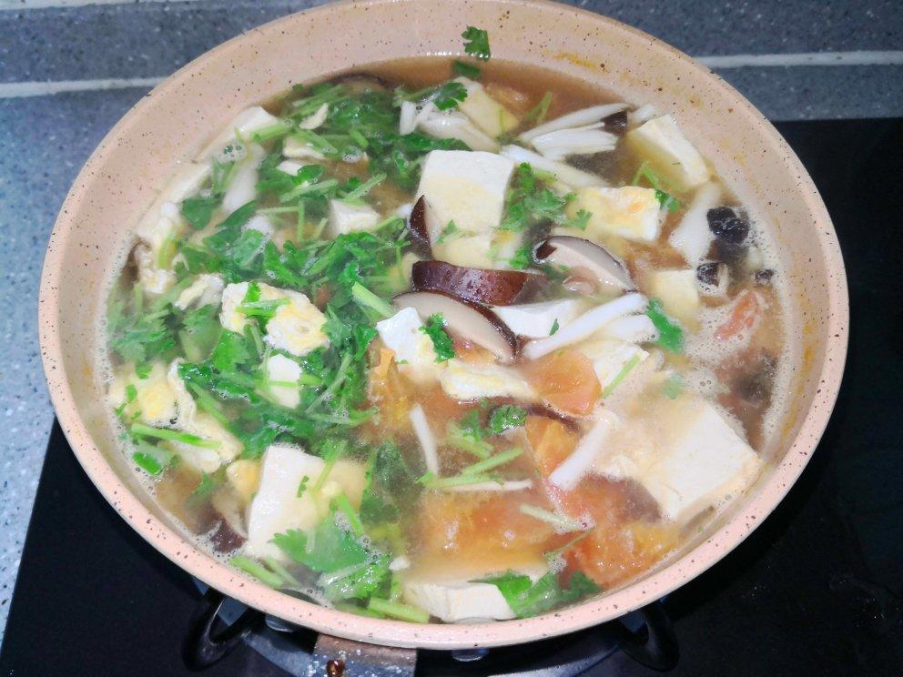 西红柿菌菇豆腐汤