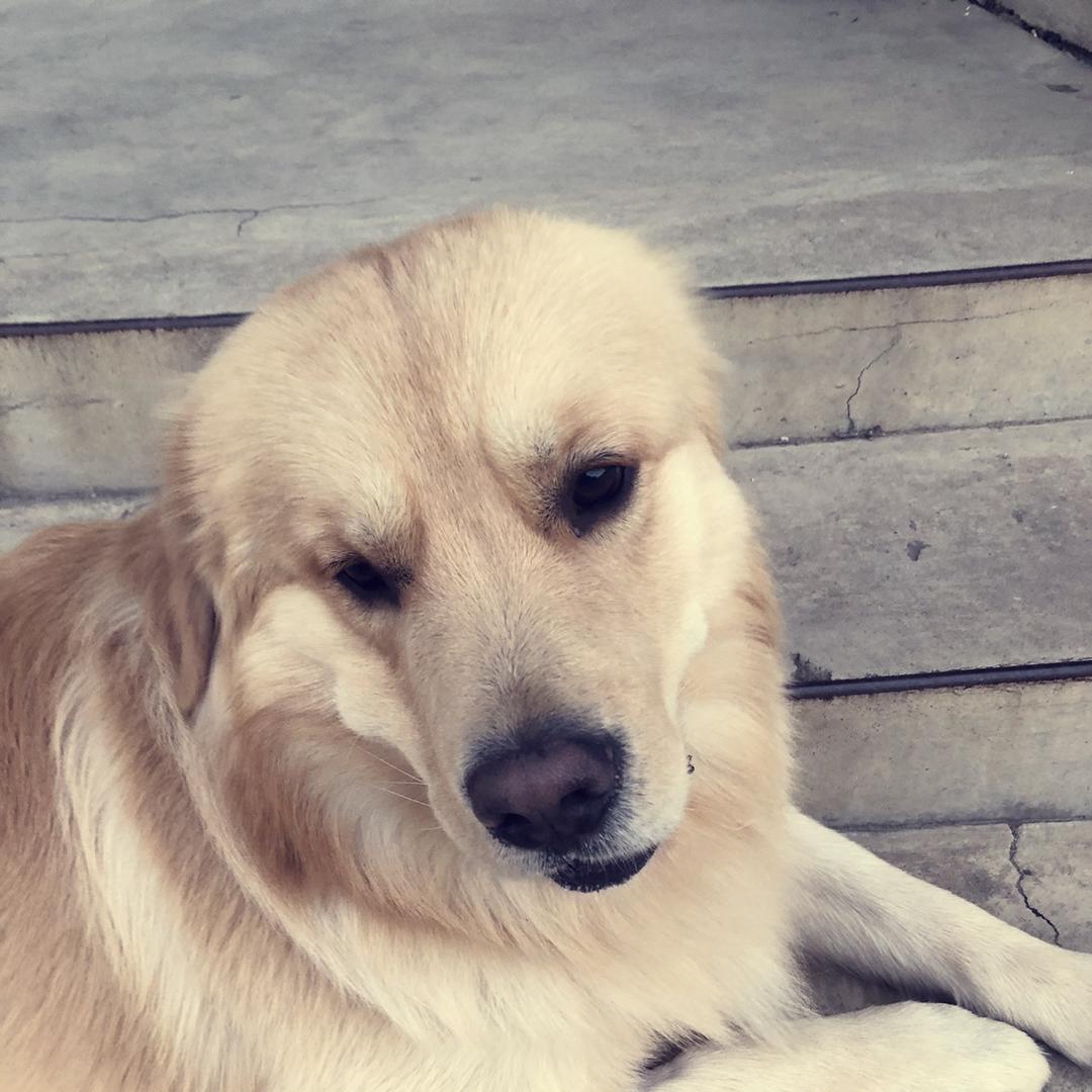 charlesmom