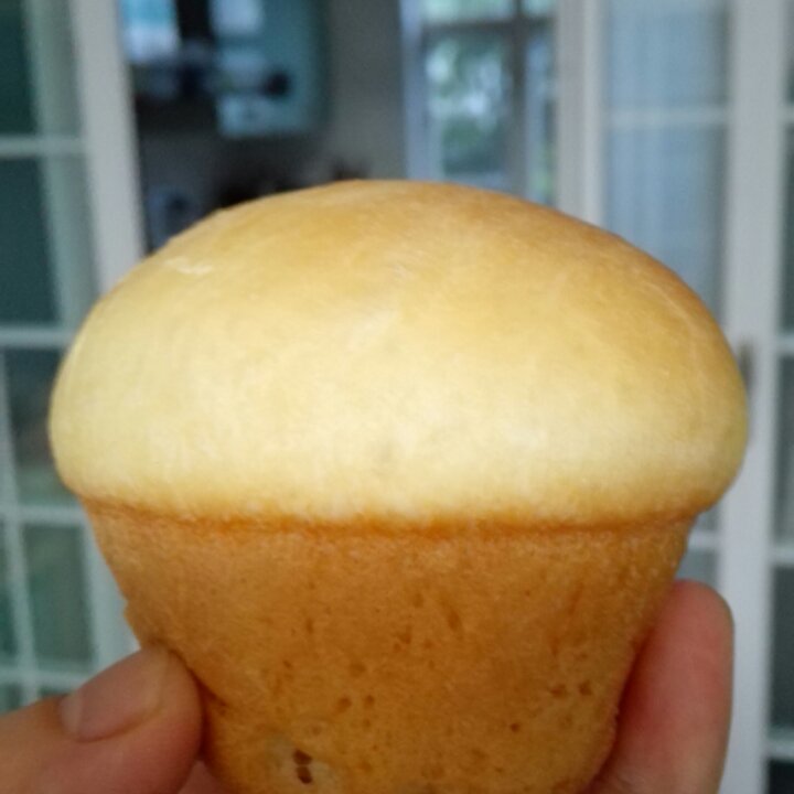 原味蘑菇包（一次性发酵）