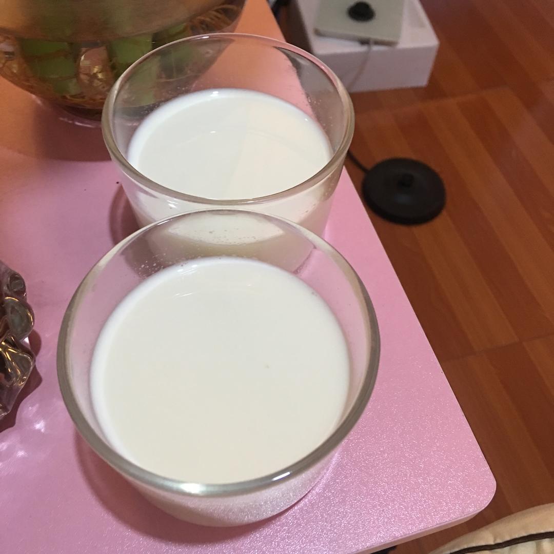 姜汁撞奶失败个人经验总结（白糖红糖枫糖浆无糖版）