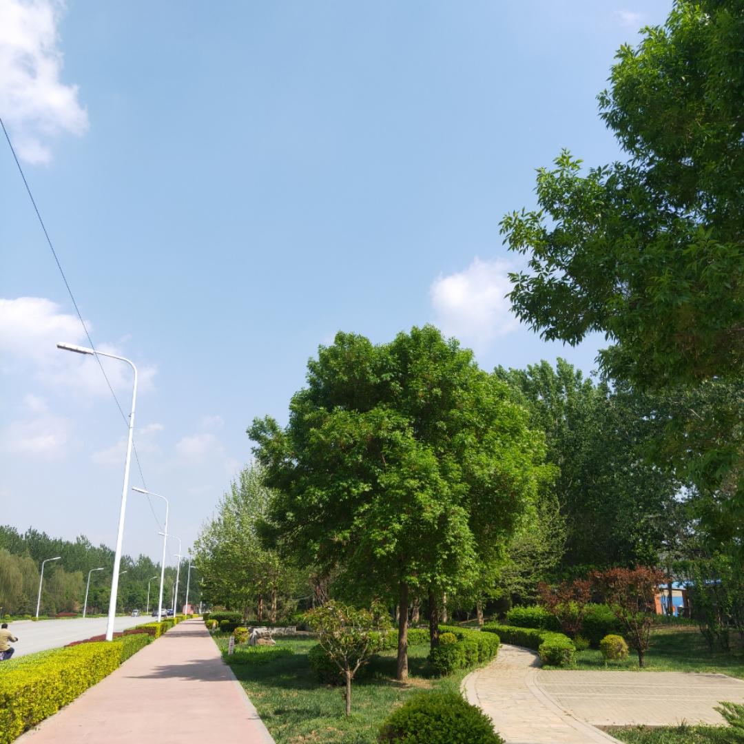 小怪兽宝贝妈咪