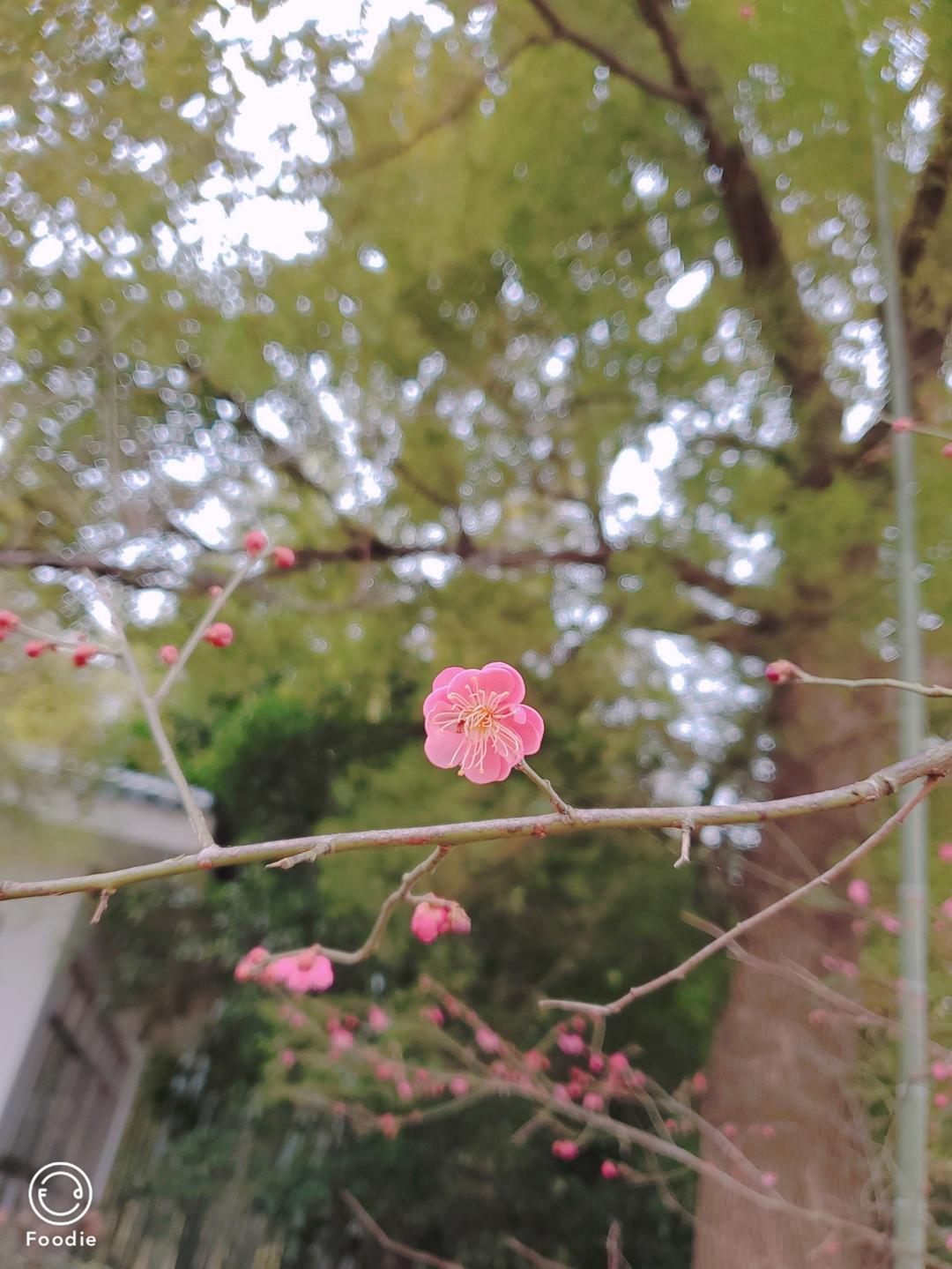 春来早ﾉ☀的做法