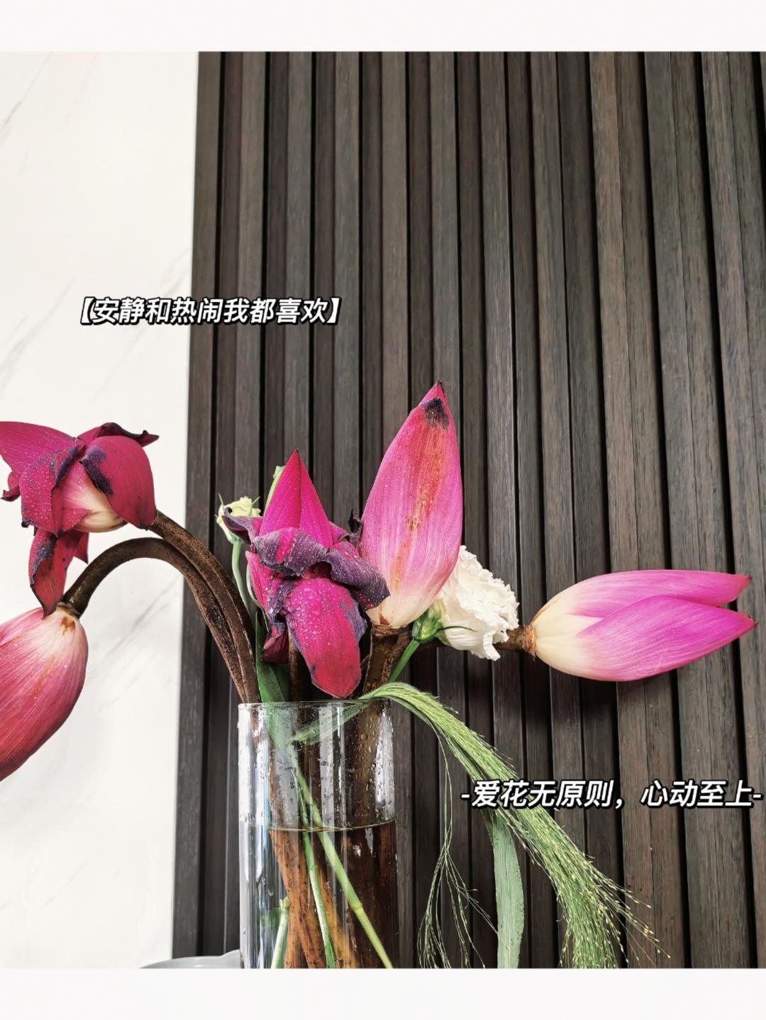 美食诱惑m