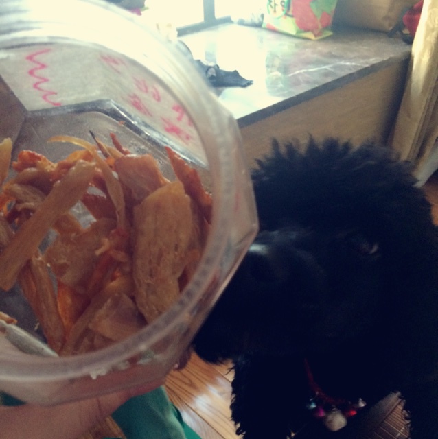 狗狗奖励零食——鸡肉干