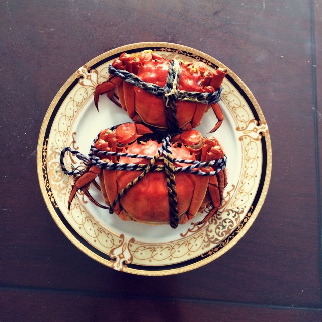 清蒸大闸蟹