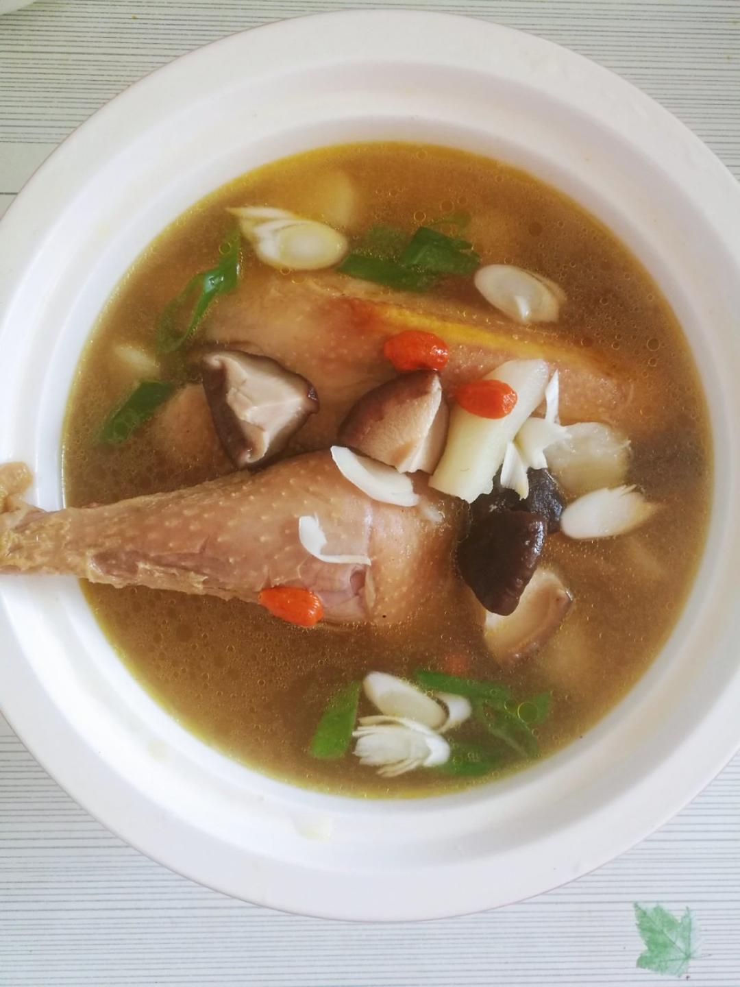 煲靓汤 老母鸡汤