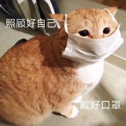 CarryingU