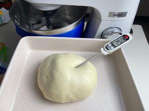 液种法｜超软拉丝老面包🥐的做法 步骤6