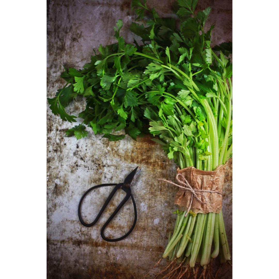 2017 从春约到冬