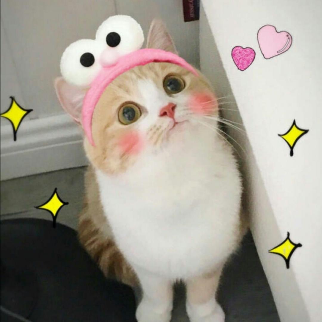 贺天大大