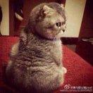 灵感源