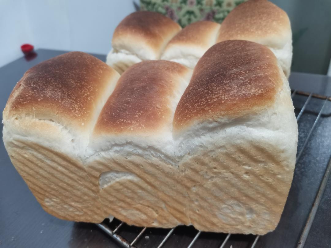 隔夜酵种极上生吐司