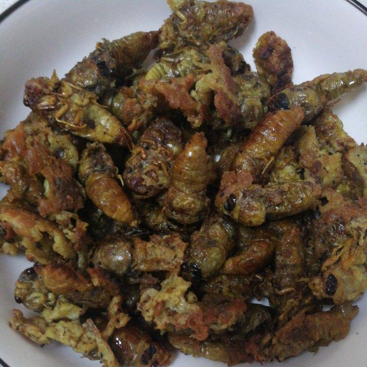 香酥知了猴（金蝉）