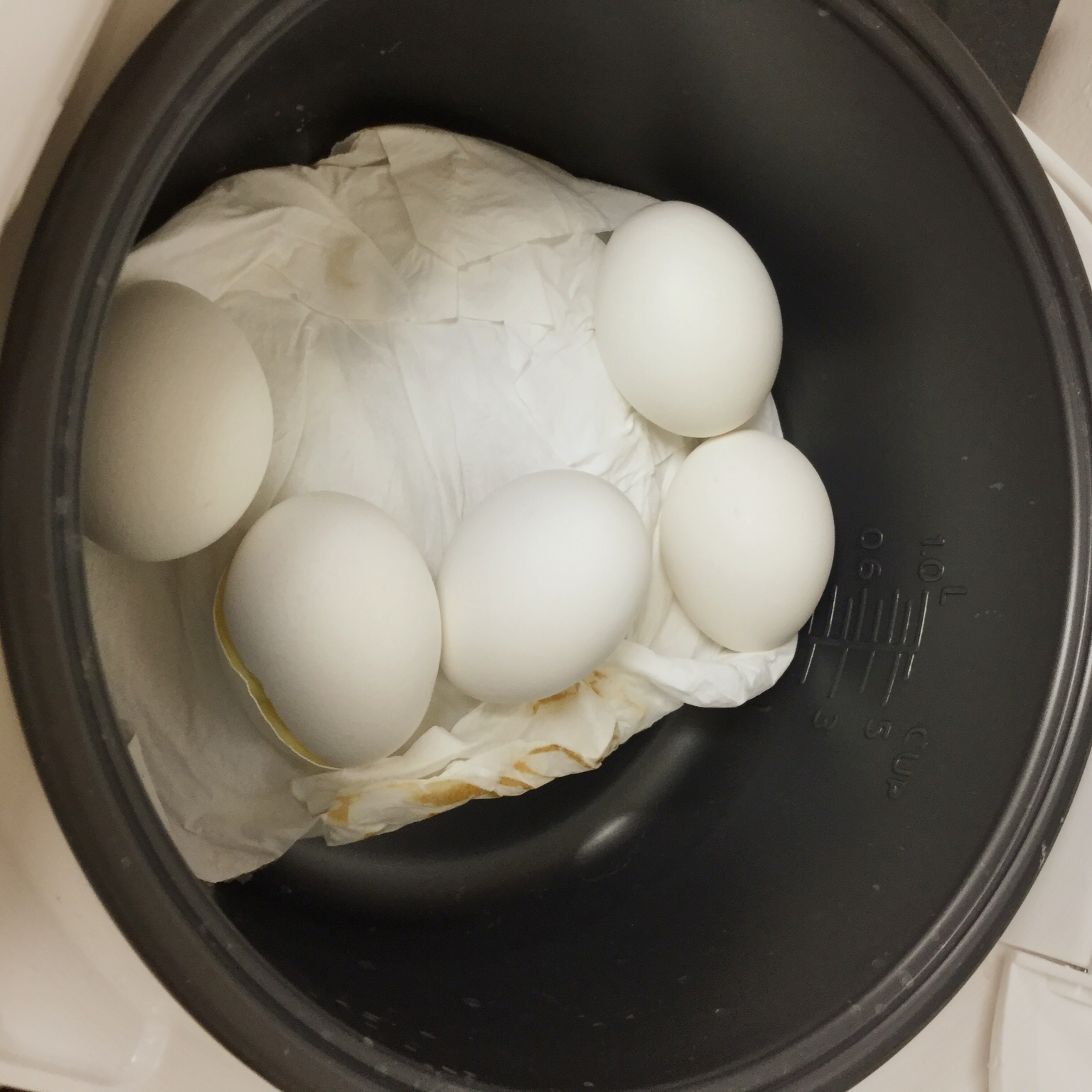 水笔路易斯做的电饭锅煮鸡蛋