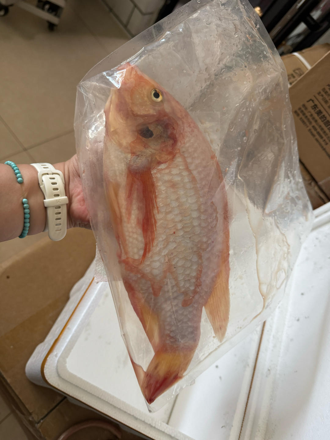 红烧彩虹鲷鱼（盒马图片）