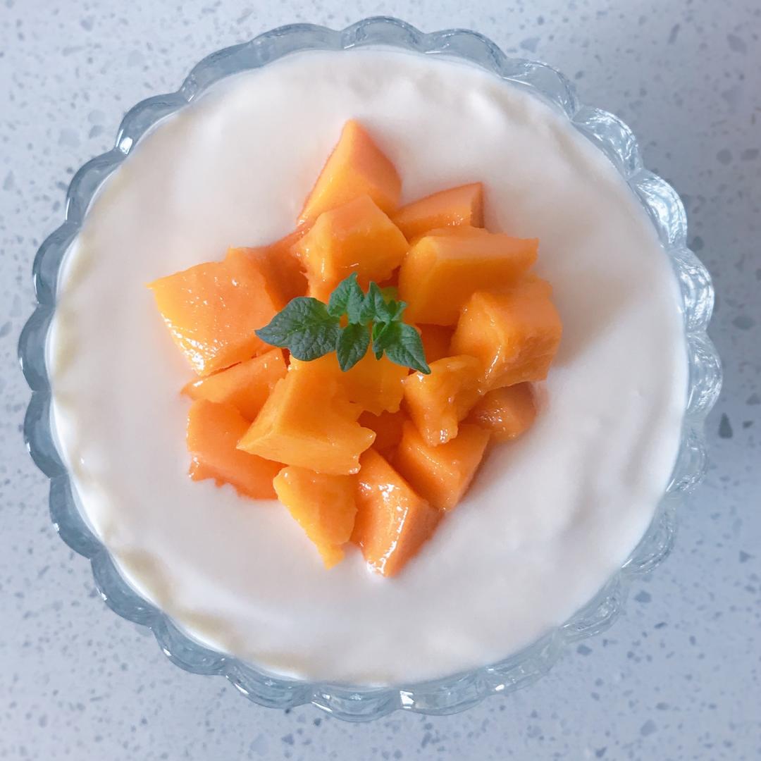 懒人版自制柔滑酸奶