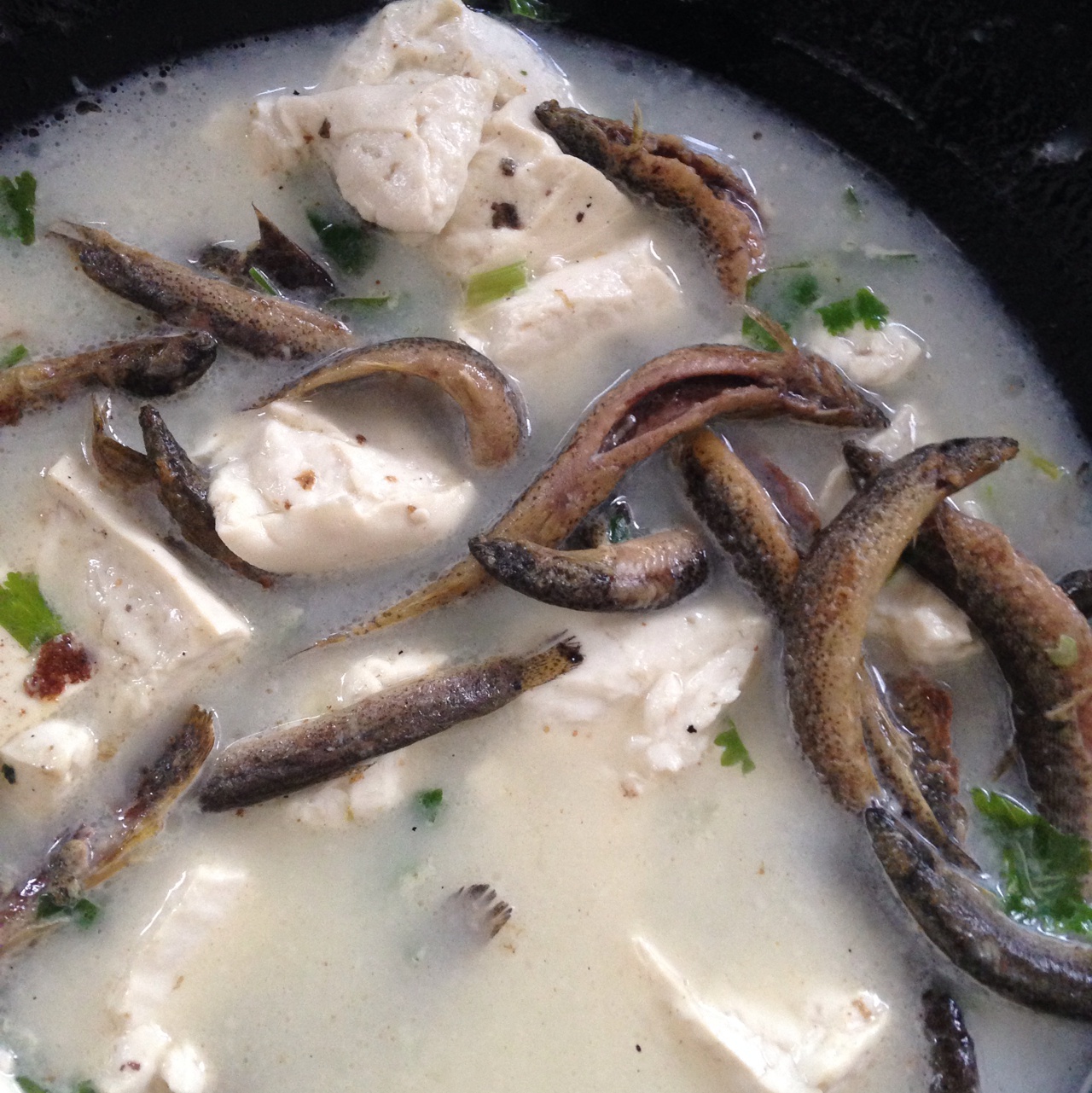 灰灰_vd1h做的泥鳅焖豆腐